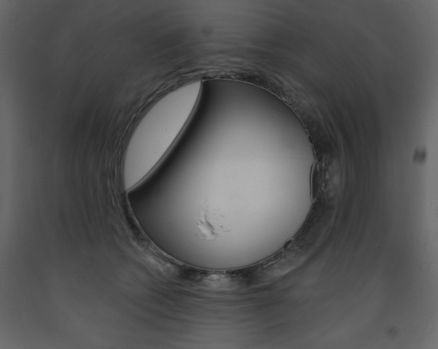 X0000094070562200710190958