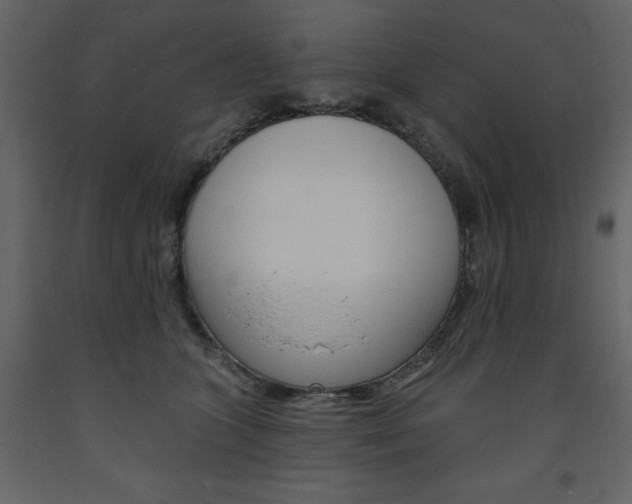 X0000094070563200710190958