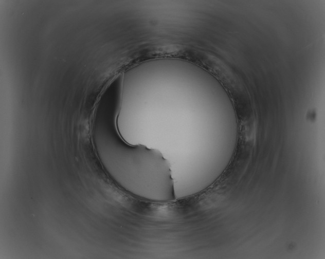 X0000094070564200710190958