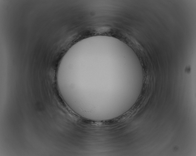 X0000094070565200710190958