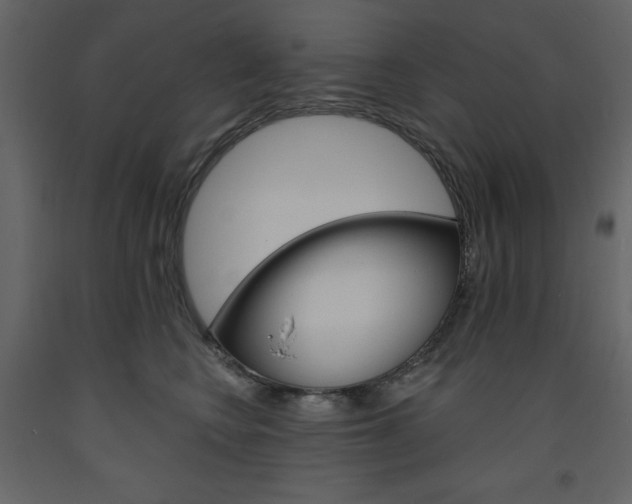 X0000094070566200710190958