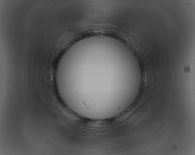 X0000094070567200710190958