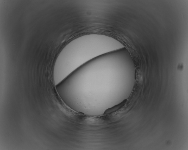 X0000094070568200710190958