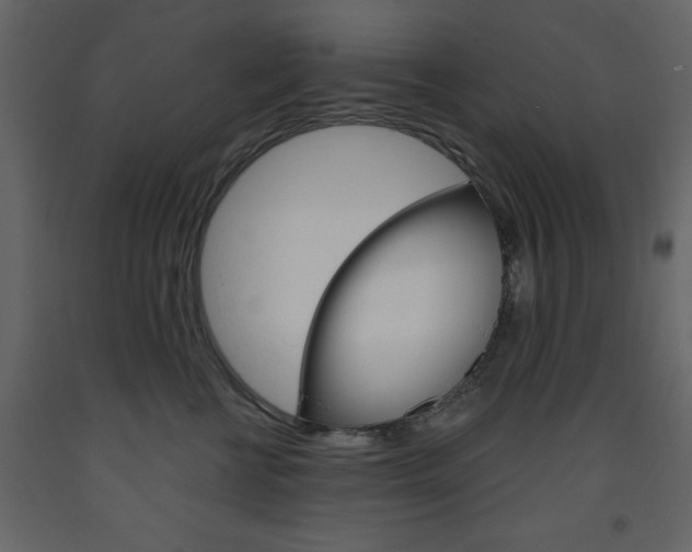 X0000094070570200710190958