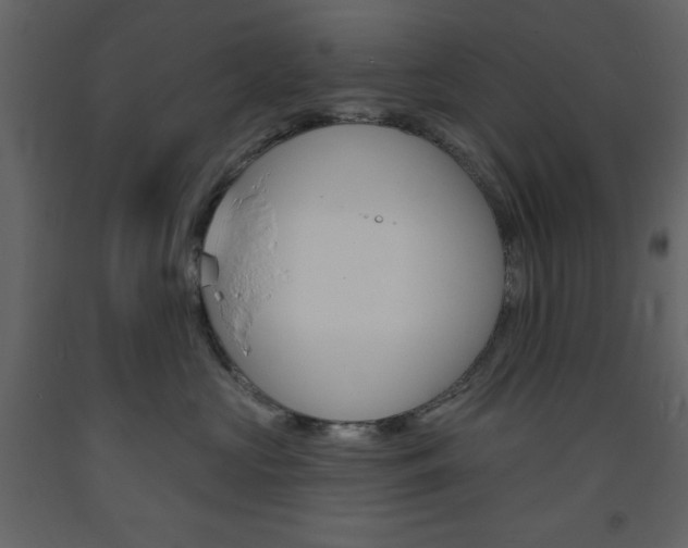 X0000094070573200710190958