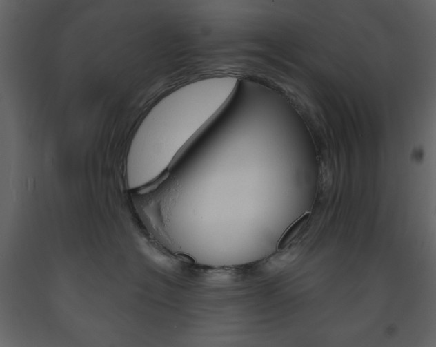 X0000094070574200710190958