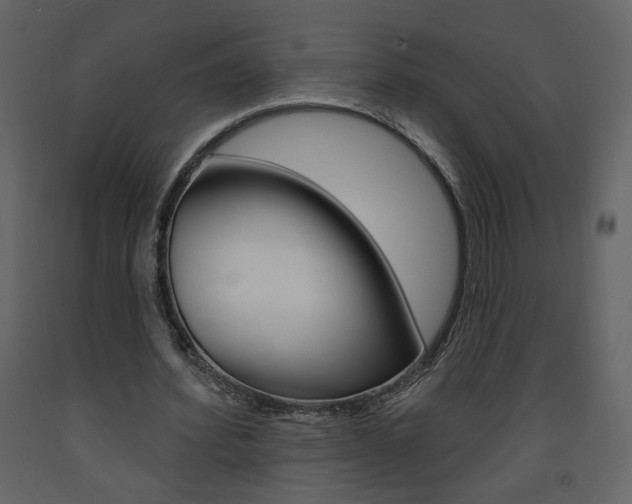 X0000094070580200710190958