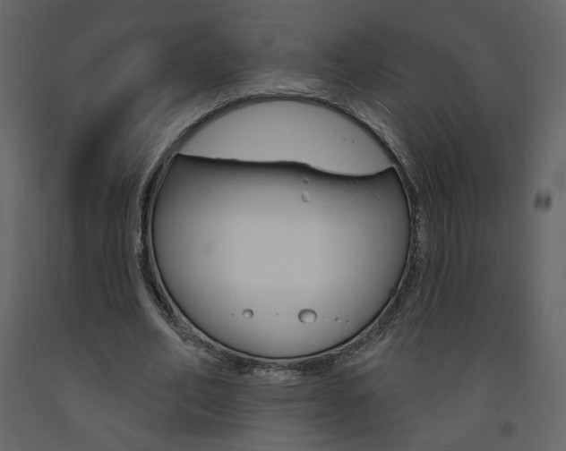X0000094070582200710190958