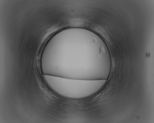 X0000094070583200710190958