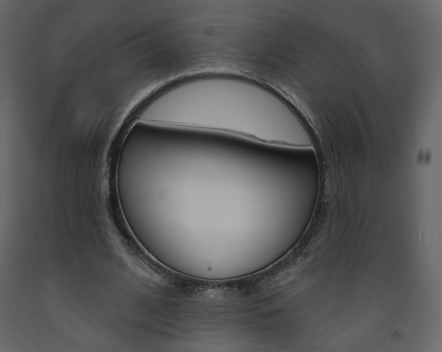 X0000094070584200710190958
