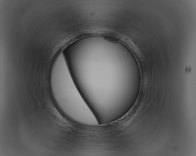X0000094070585200710190958