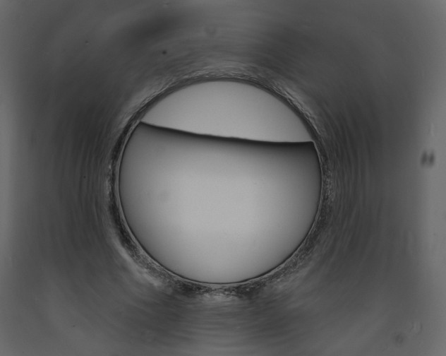 X0000094070586200710190958