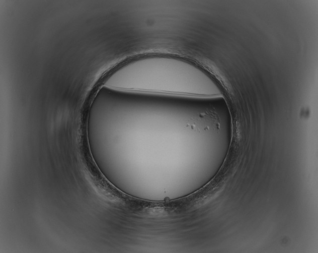 X0000094070588200710190958