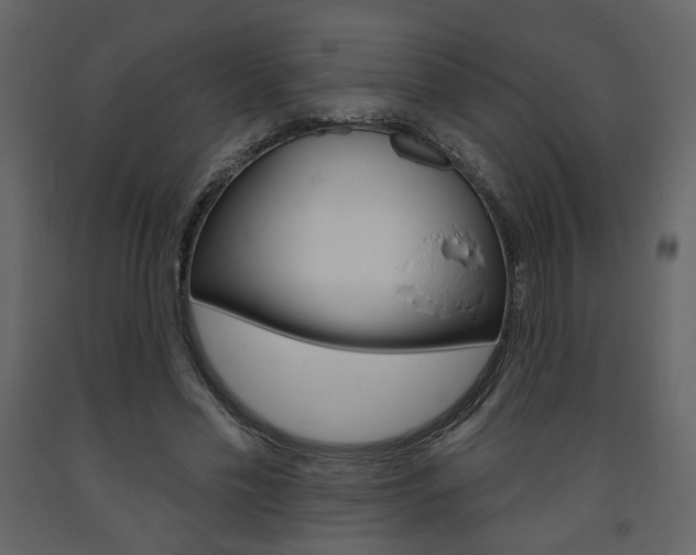 X0000094070589200710190958