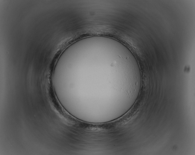 X0000094070590200710190958