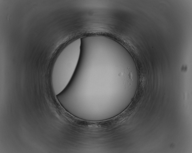 X0000094070591200710190958