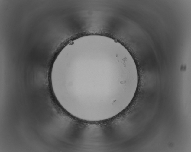 X0000094070592200710190958
