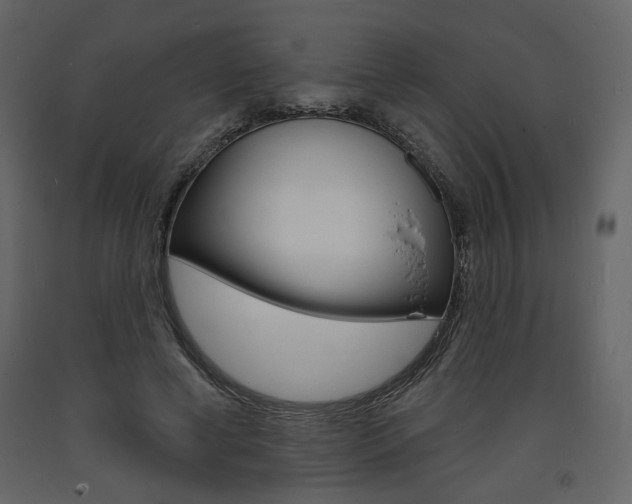 X0000094070593200710190957