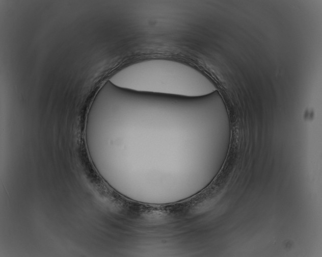 X0000094070594200710190957