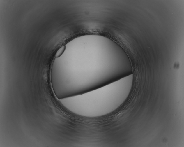 X0000094070595200710190957
