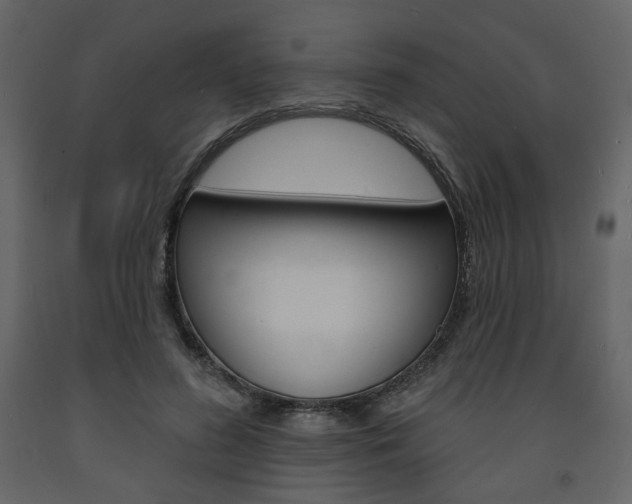 X0000094070596200710190957