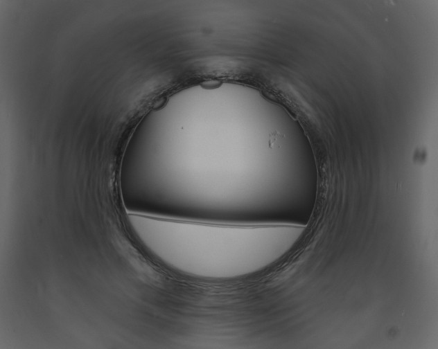 X0000094070597200710190957