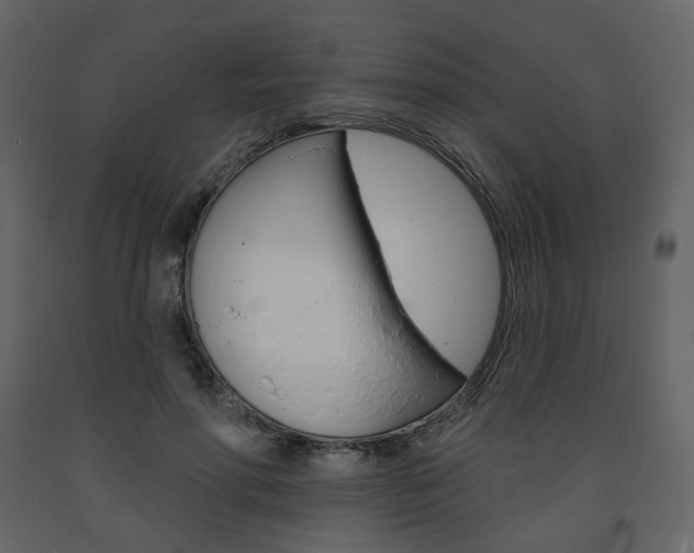 X0000094070598200710190957