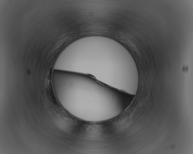 X0000094070599200710190957