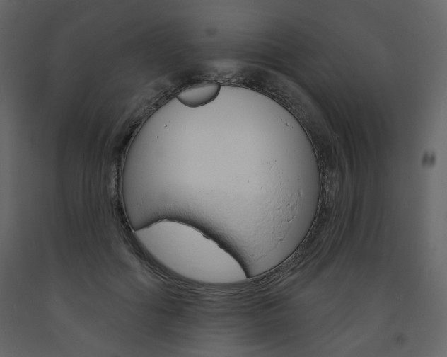 X0000094070602200710190957