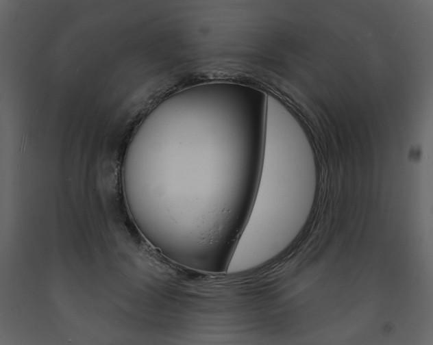X0000094070604200710190957
