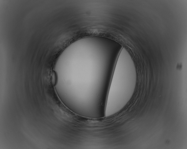 X0000094070605200710190957