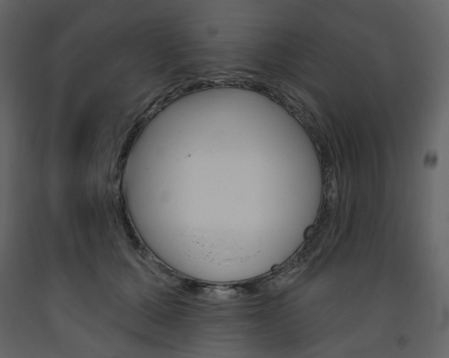 X0000094070607200710190957