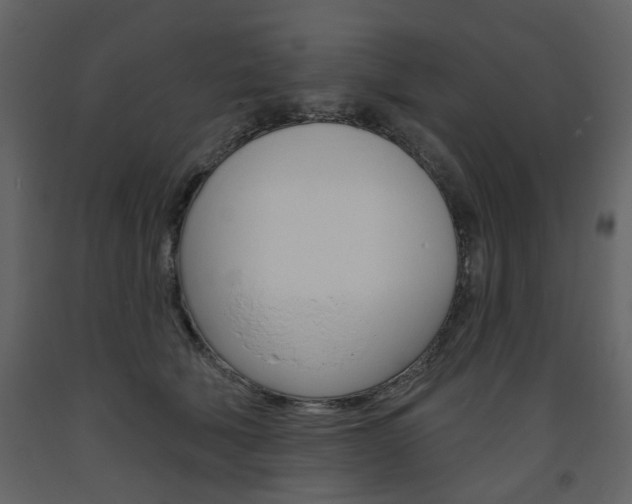 X0000094070610200710190957