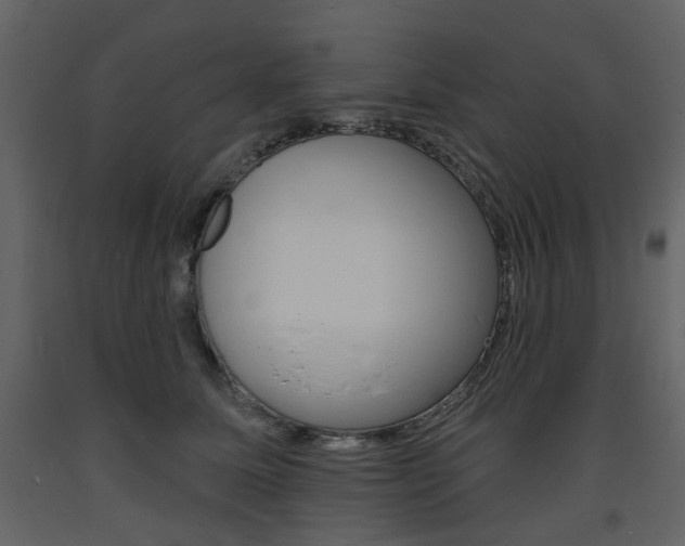 X0000094070611200710190957