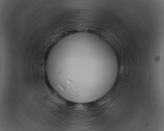 X0000094070616200710190957