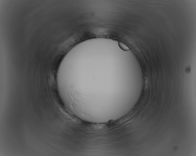 X0000094070618200710190957