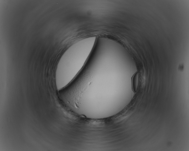 X0000094070619200710190957