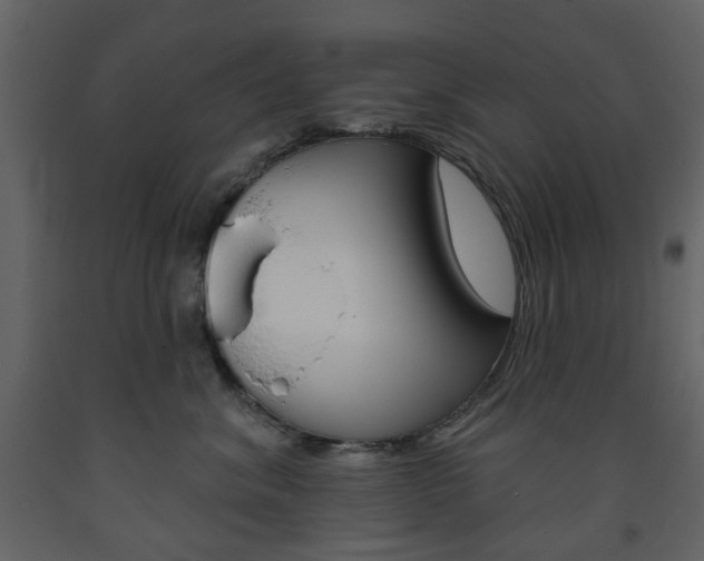 X0000094070620200710190957
