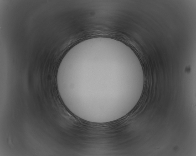 X0000094070621200710190957