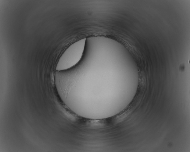 X0000094070622200710190957