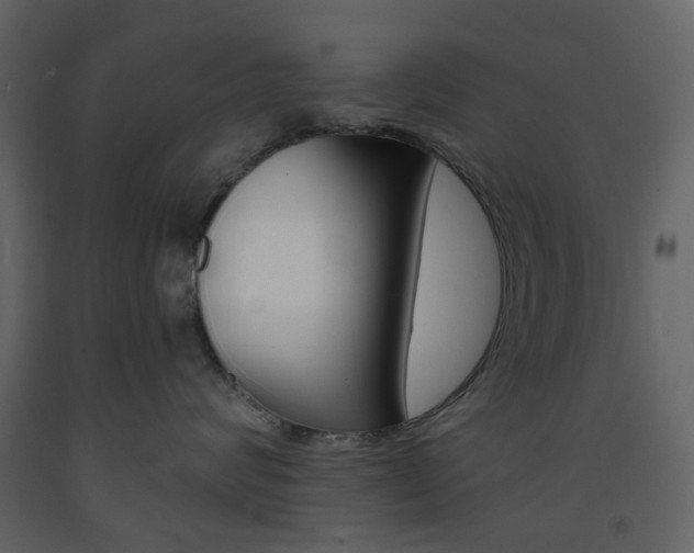 X0000094070624200710190957