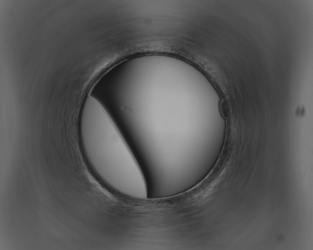 X0000094070625200710190956