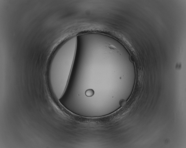 X0000094070629200710190956