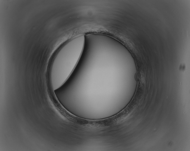 X0000094070630200710190956