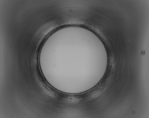X0000094070632200710190956
