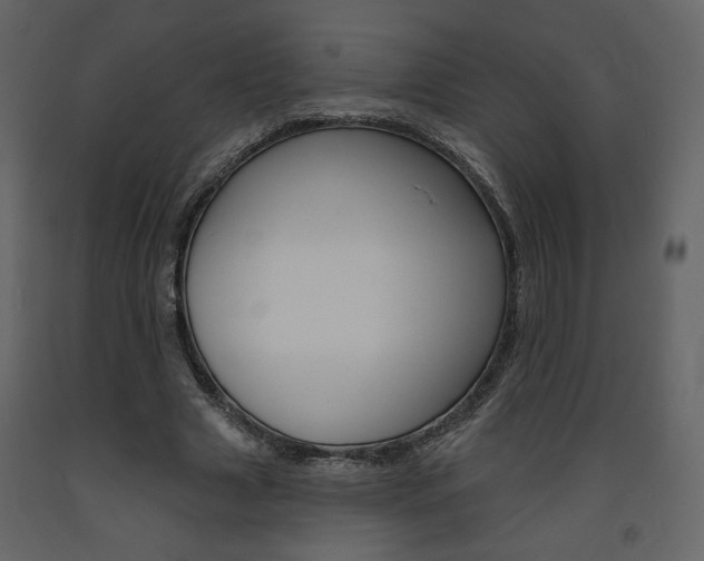 X0000094070633200710190956