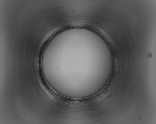 X0000094070634200710190956