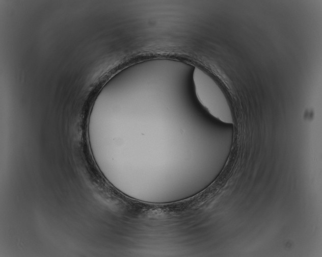 X0000094070635200710190956