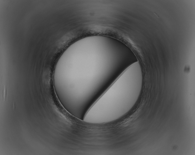 X0000094070637200710190957
