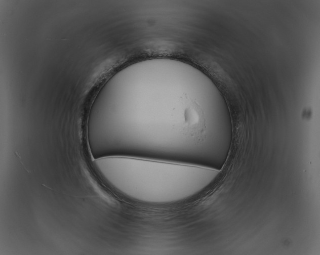 X0000094070638200710190957